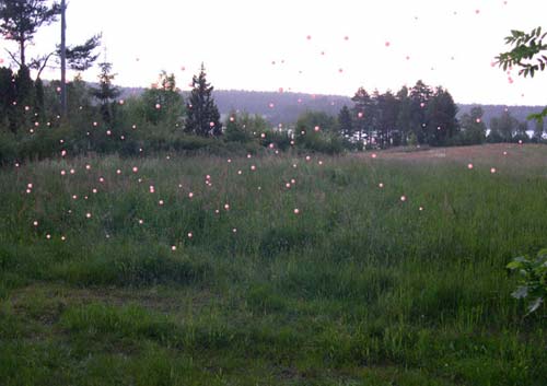 Campingplats